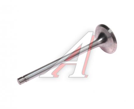   -A274 EVOTECH - NEXT - 4   7406.1007010