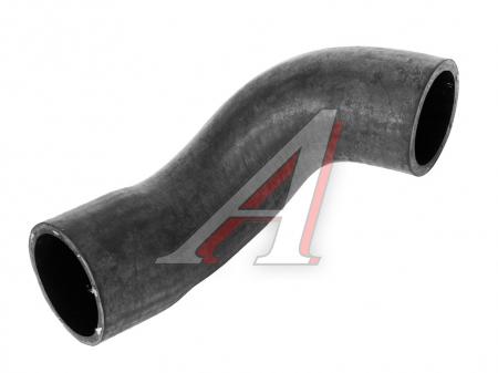  -33081, 3309    33081-1303025