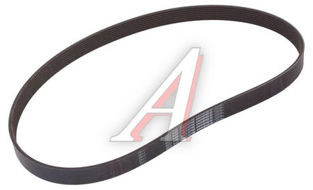  -4308  .CUMMINS RUBENA 8PK1226