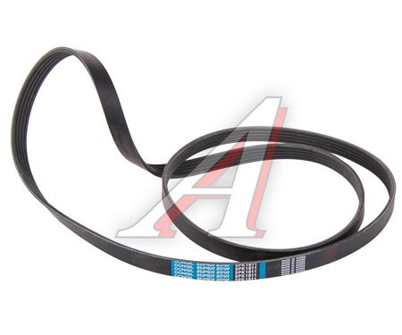   ELANTRA 06-, CEED, RIO III (1.6-U , ) 5PK1811