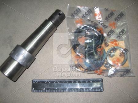    () CEI D45X193MM TRUCK FL6 (1985-1998) 230042