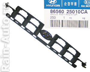  8656025010CA