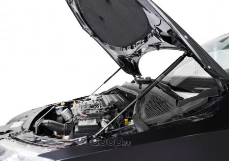   RIVAL  SKODA RAPID 2012-2017 2017-, 2 . A.ST.5104.1
