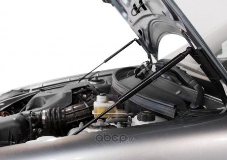 АМОРТИЗАТОРЫ КАПОТА LADA PRIORA (2007-) A.ST.6003.1