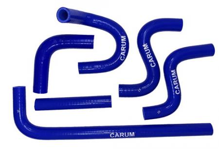     -4216 - 5.    PRAVT 3302-8120050 CARUM