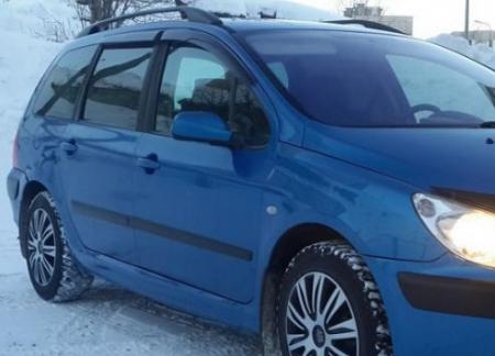   PEUGEOT 307  2002-2008 P10902