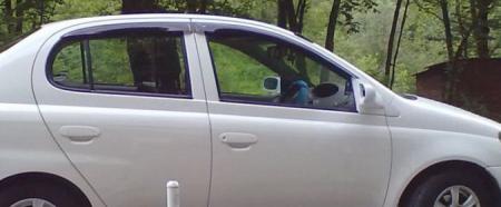   TOYOTA PLATZ 1999-2005 / TOYOTA ECHO 2000-2005 T23899