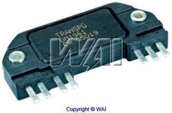   DM1961