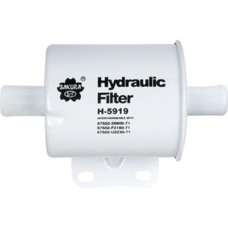   H5919