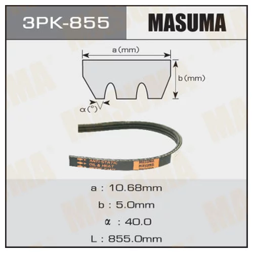   MASUMA 3PK- 855 3PK-855