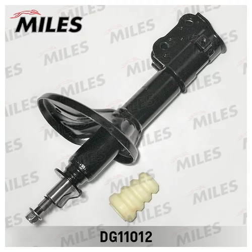      dg11012