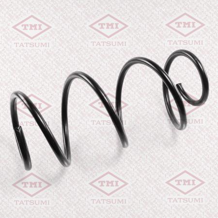 ПРУЖИНА ПЕРЕДНЯЯ TAE1009