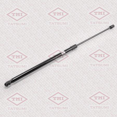   TAF1016