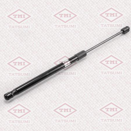  TAF1025