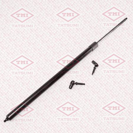 ����������� ��������� (L=656MM, F=880N) TAF1103