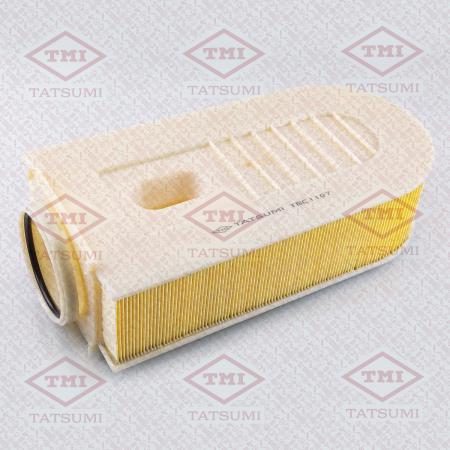   TBC1107