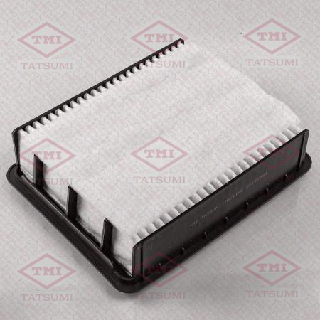 ФИЛЬТР ВОЗДУШНЫЙ TBC1166