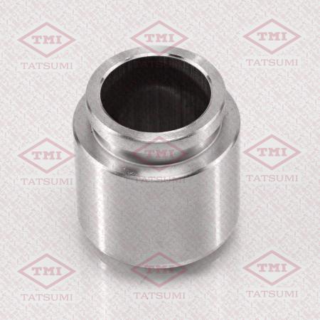     TCG1013