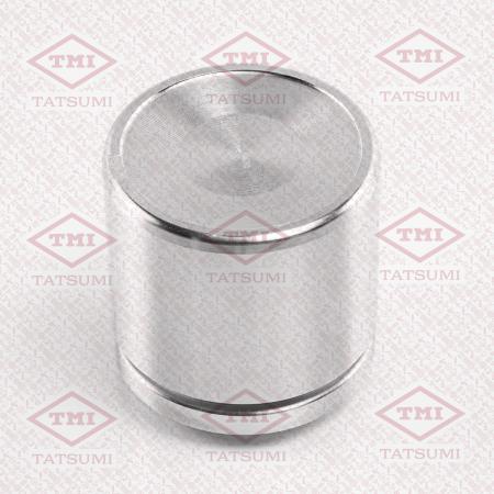    TCG1310