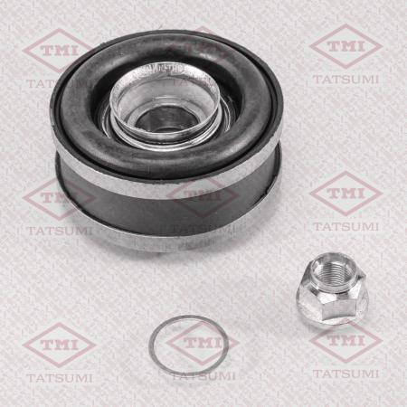    TDG1013
