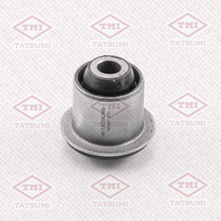      TEF1517