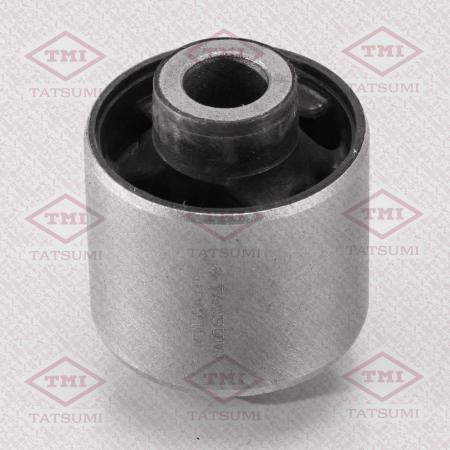 САЙЛЕНТБЛОК ОПОРЫ ДИФФЕРЕНЦИАЛА  ПЕРЕД TEF1606