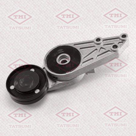      TFD1079