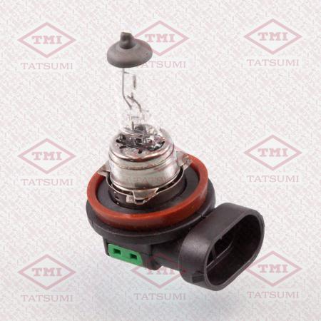  H16 12V (19W) TFN1010