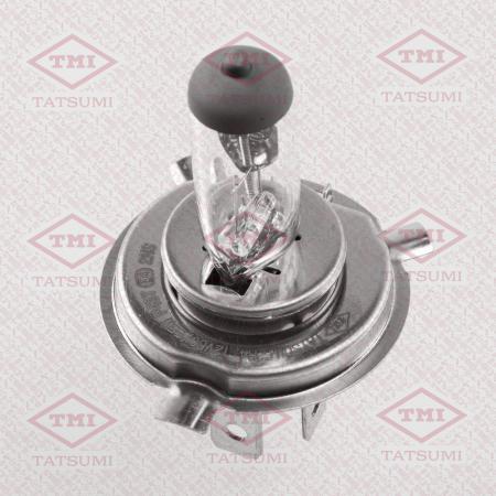  H4 12V (60/55W) TFN1011