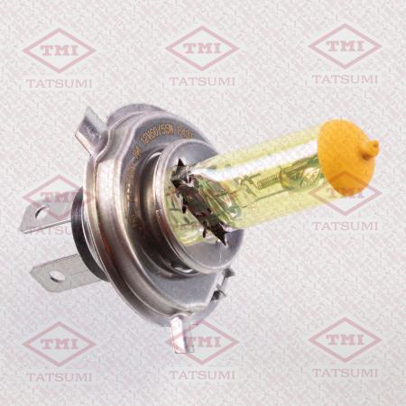  H4 12V (60/55W) YELLOW TFN1011Y