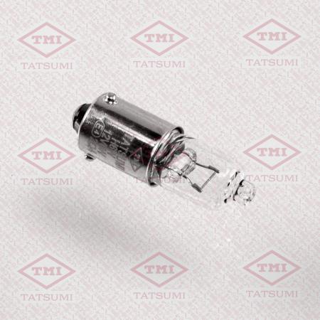  H6W 12V (6W) TFP1017