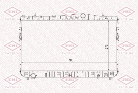   TGA1007