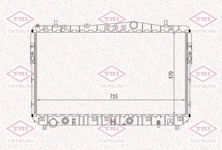   TGA1008