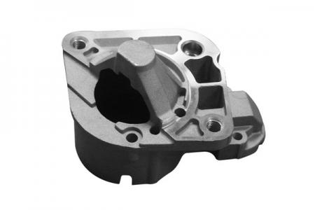   1.4/1.6 RENAULT: LOGAN 04-, SANDERO 04- 30224 ASAM