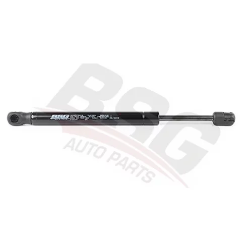 ����������� ������ ��������� BSG30-980-001