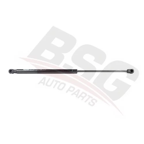    BSG 65-980-019