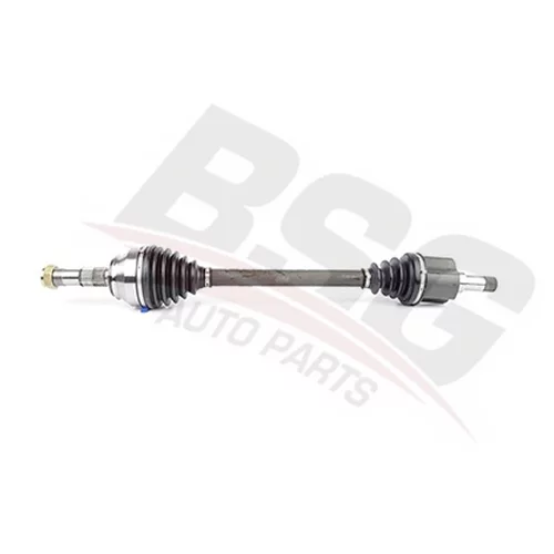     BSG70350011