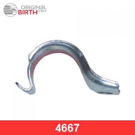 ����� ��������� ������������� 4667