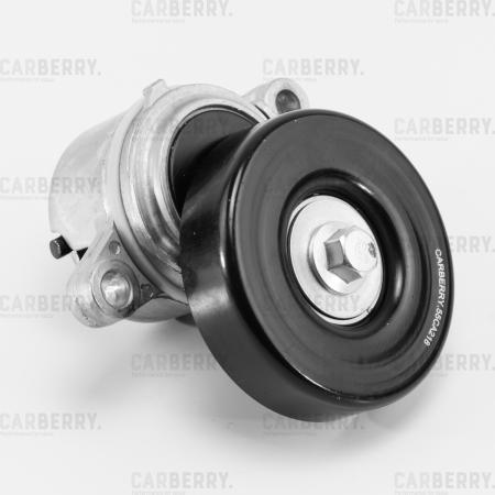     55CA218 Carberry