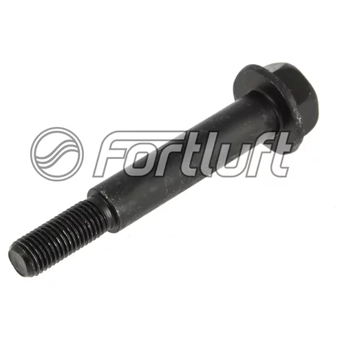     M8X63 258794 FORTLUFT