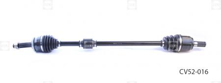   ,  (6) CV52-016