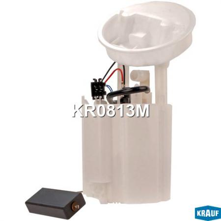 МОДУЛЬ В СБОРЕ С БЕНЗОНАСОСОМ KR0813M