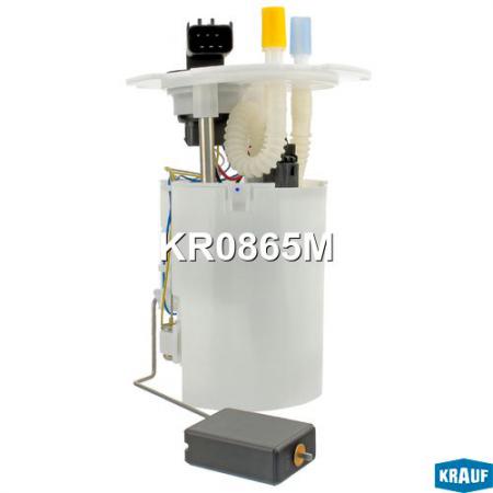 МОДУЛЬ В СБОРЕ С БЕНЗОНАСОСОМ KR0865M