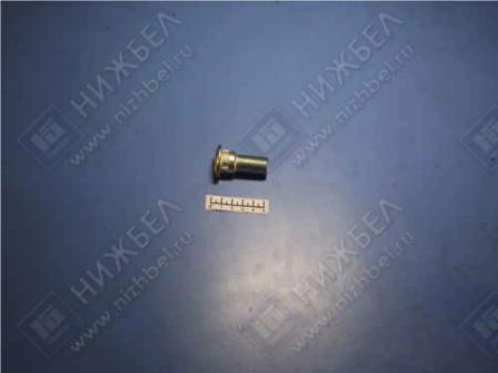   2410 (141, 2545) 20-3103008-20