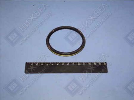   -65115 ( .) (82706) (ROSTAR) 53205-3001020-01