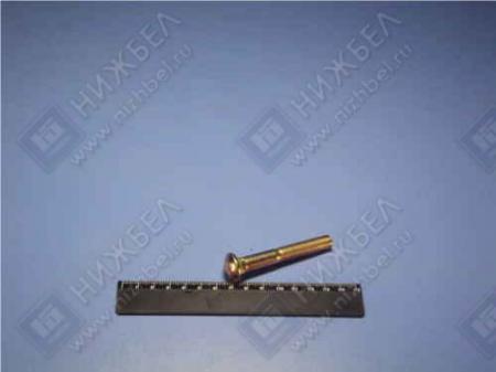  101-6G70  - -31105 4531149-023