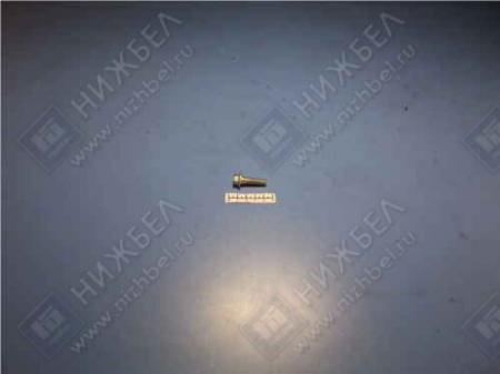 ÁÎËÒ Ì8Õ6Õ30 ÃÎËÎÂÊÈ ÖÈËÈÍÄÐÎÂ 40524, 40525, 40904 ÅÂÐÎ 3 4593761-123