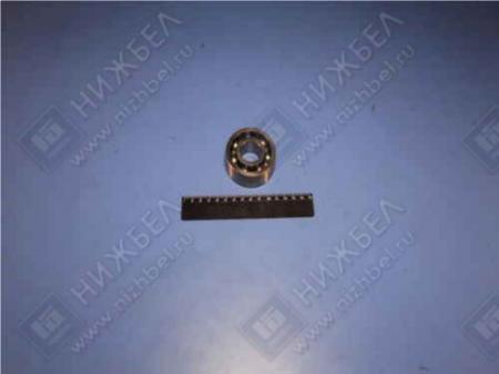  (305)   2121,     305.