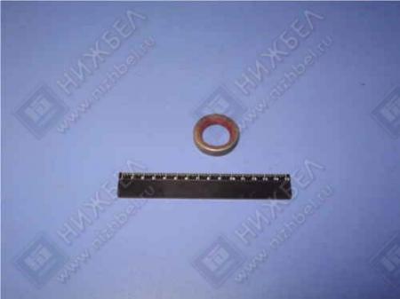    ( ) 2101 (284310)  2101-3401023-
