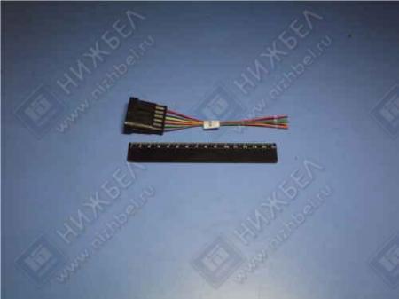   282108 (6- , ,  ) 021